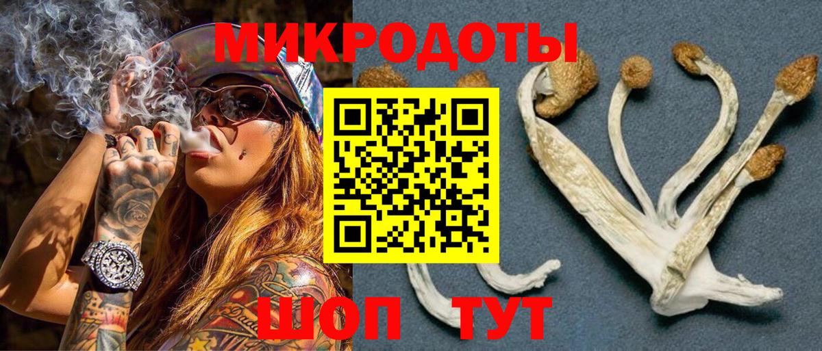 Псилоцибиновые грибы прущие грибы  Вход с VPN  Владимир  Галлюциногенные грибы Cubensis 