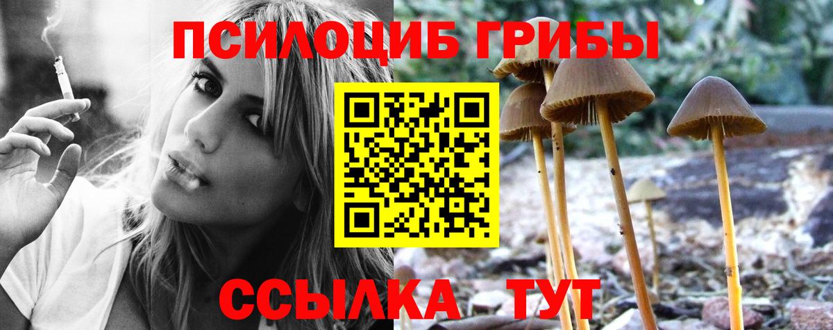 Галлюциногенные грибы GOLDEN TEACHER Владимир