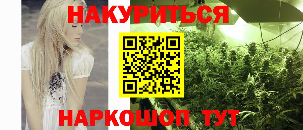 Бошки Шишки Amnesia  Вход с VPN  Конопля AK-47  Владимир  Бошки Шишки SATIVA & INDICA 